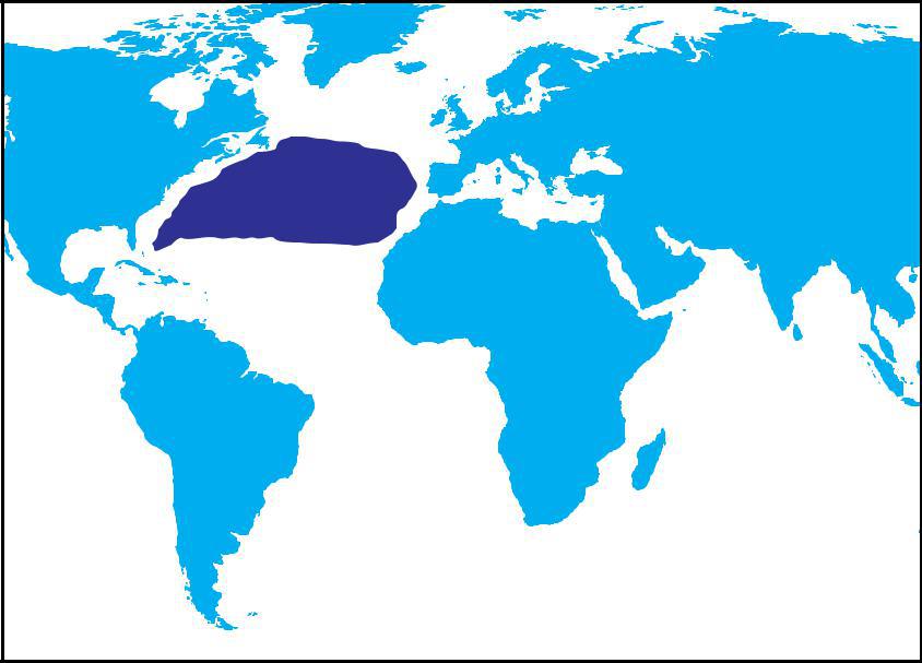 Figure 2.1: Atlantis was larger than Australia and sat between North America