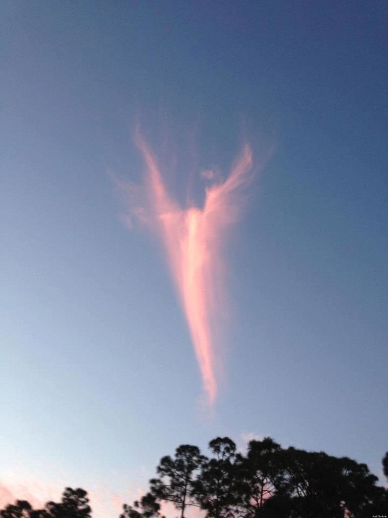 Angel in the sky