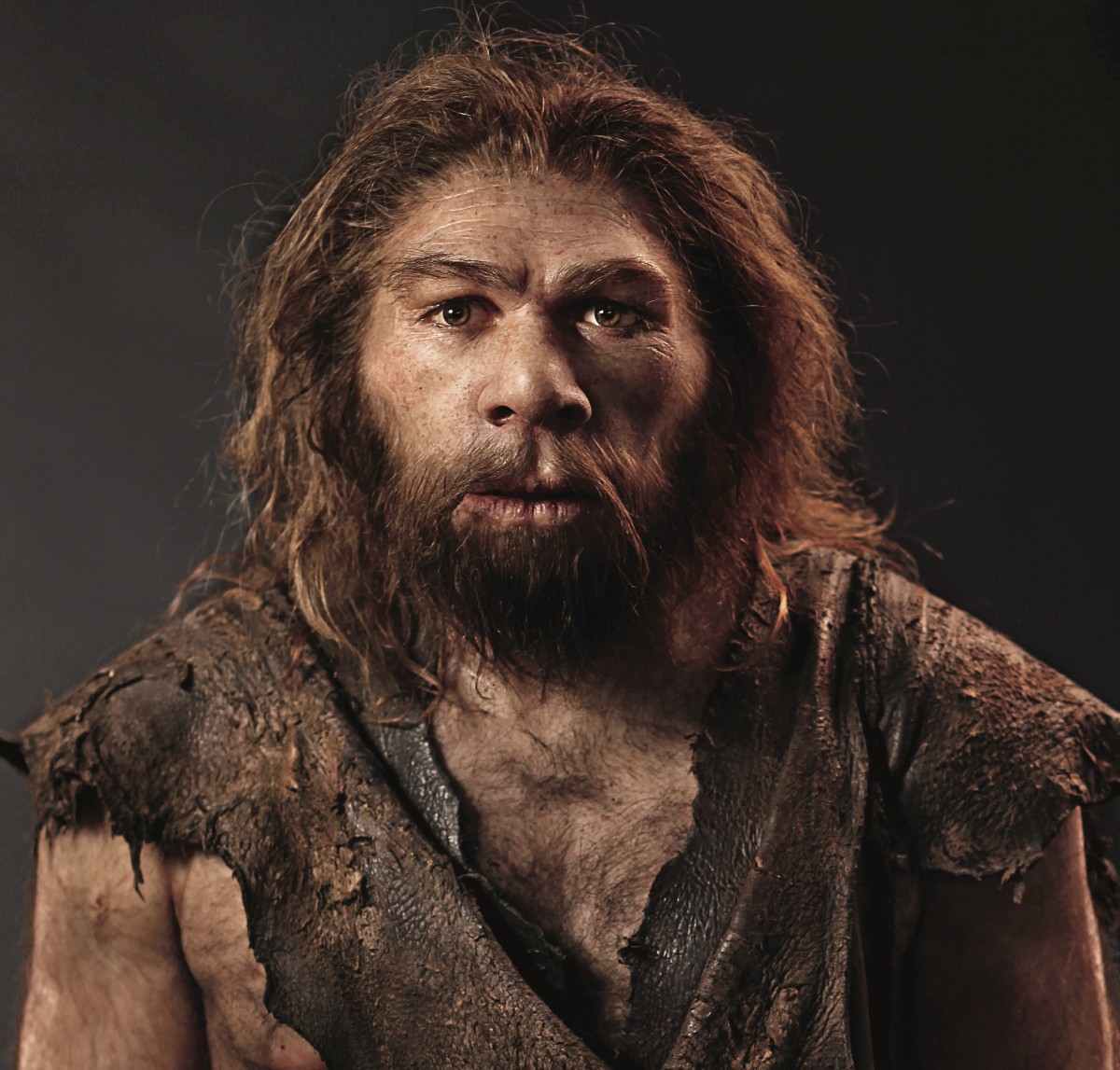 Neanderthal