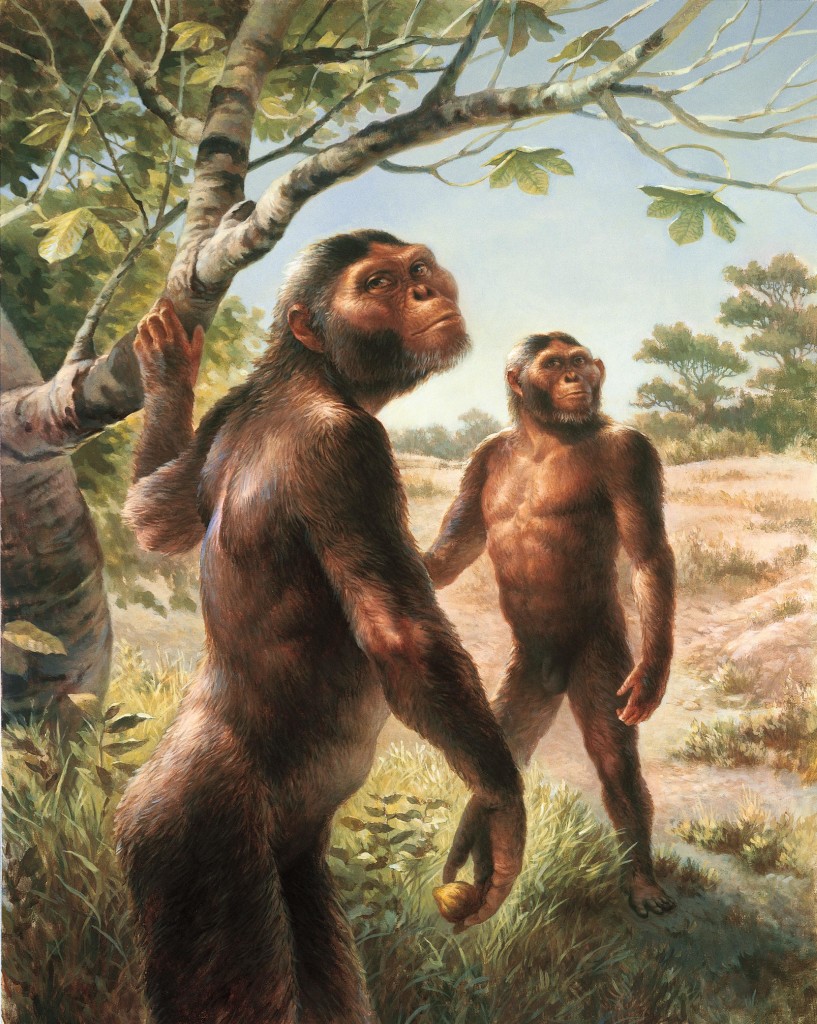 Early Humans