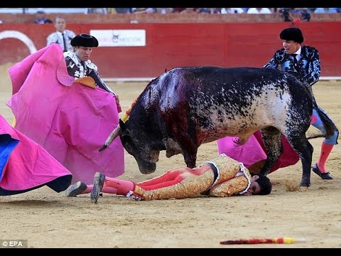 Bullfighter gored