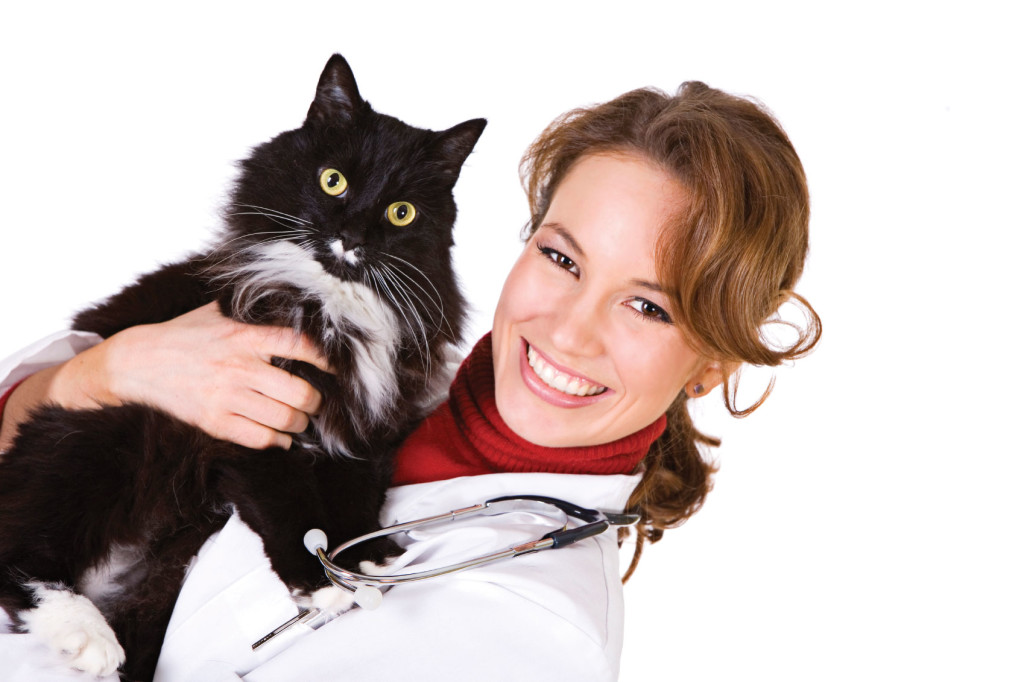 Cat and Vet