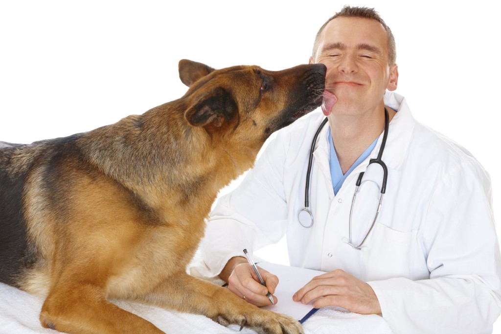 Dog with Vet