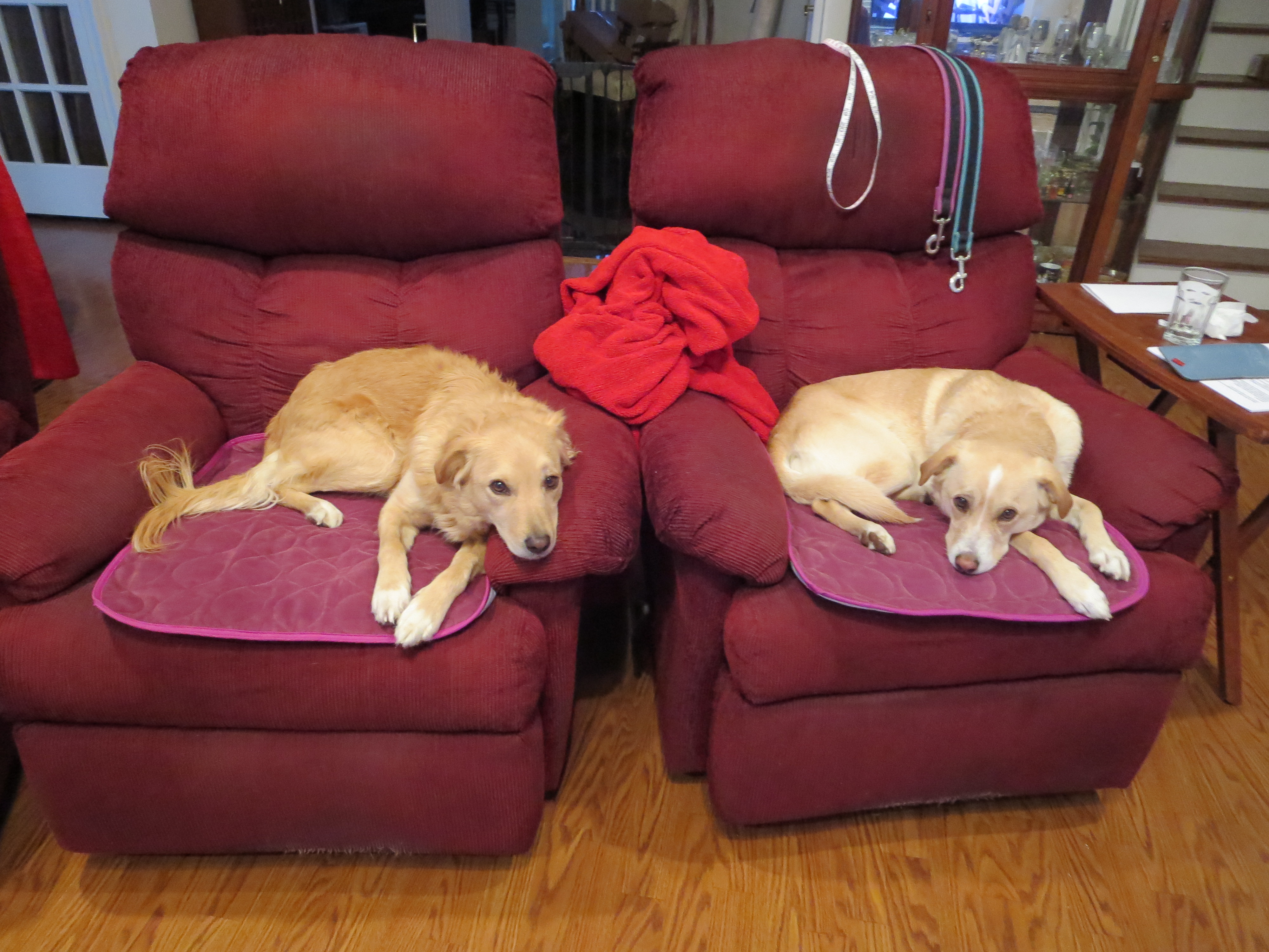 Macie and Tara