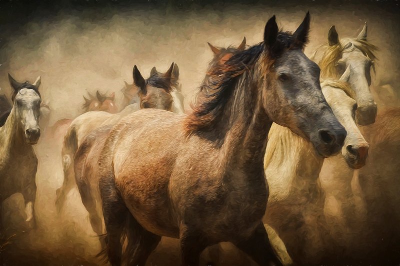 Horses