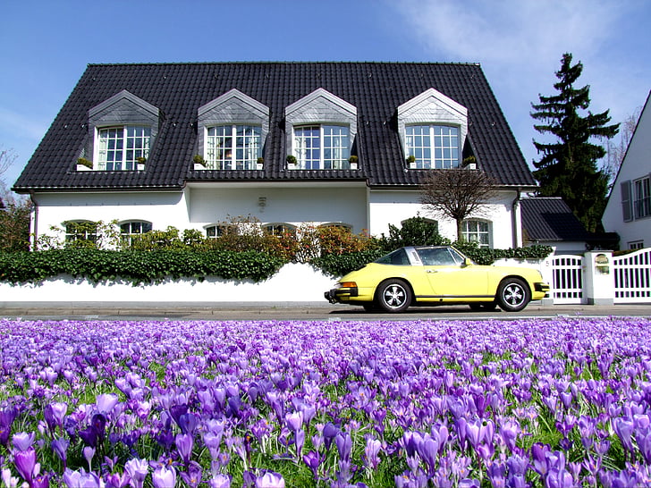 Dream house
