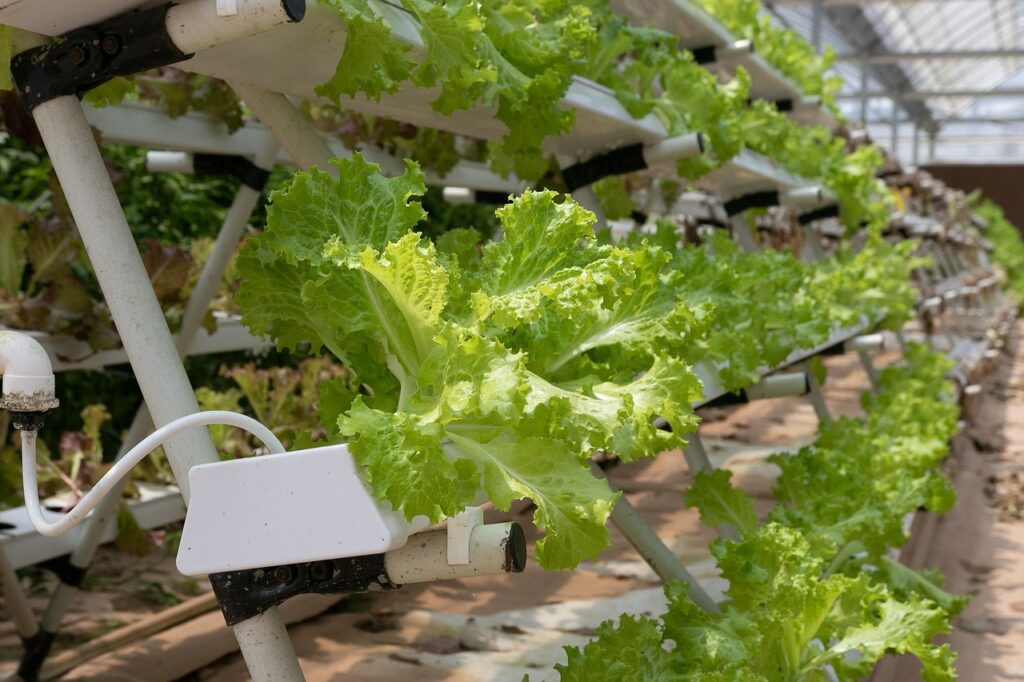 Hydroponic garden