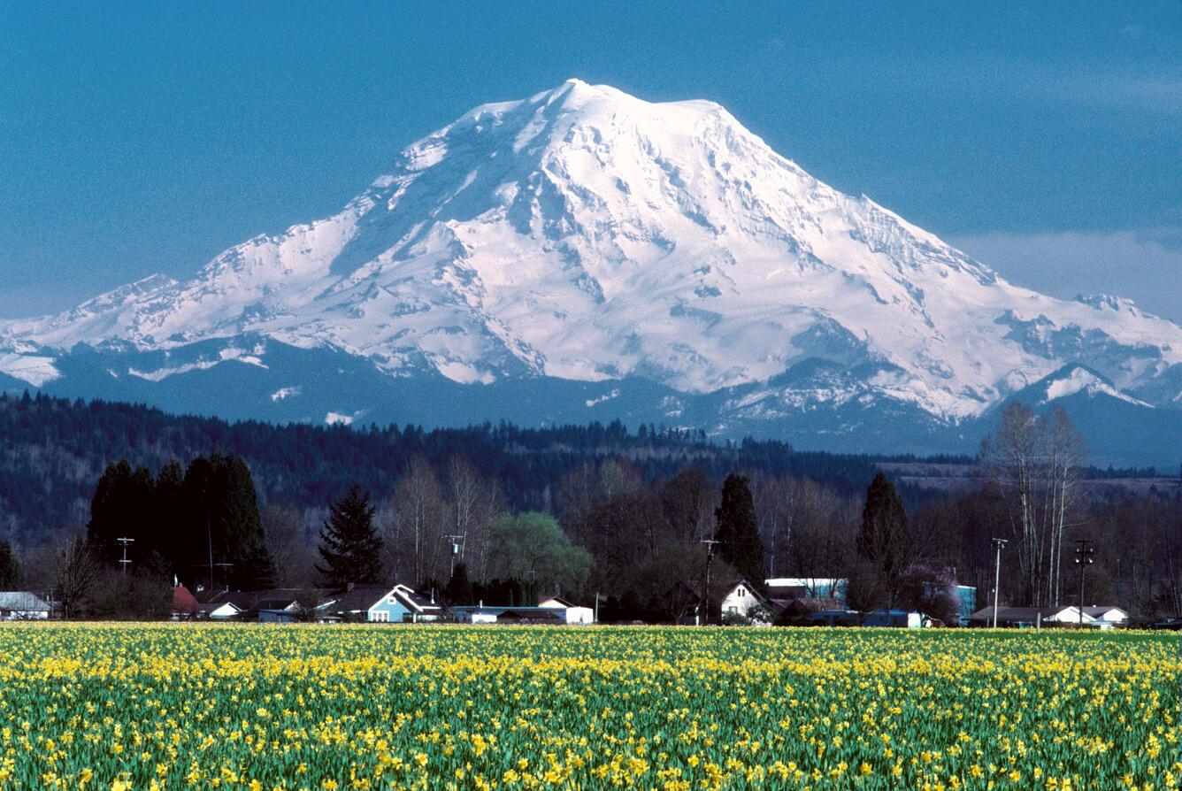 Mt Rainier