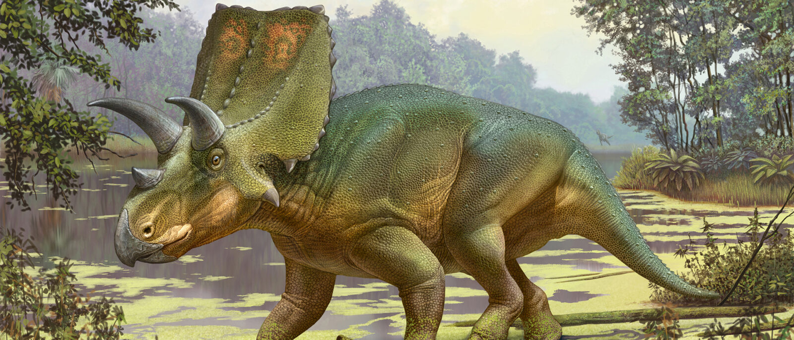 Dinosaur