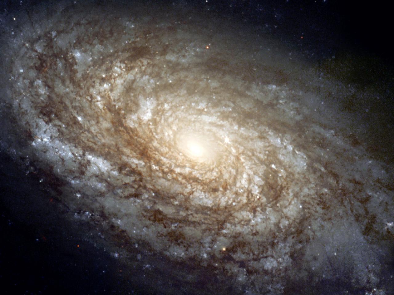 Galaxy