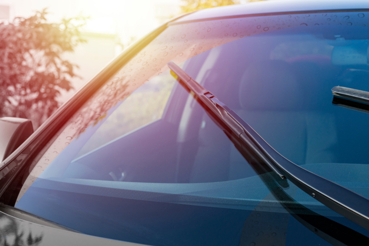 Windshield