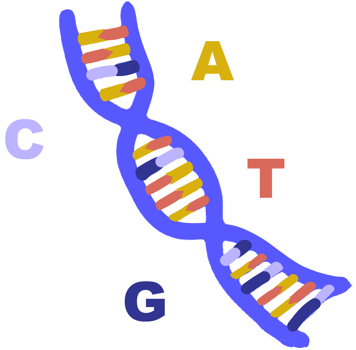 DNA 