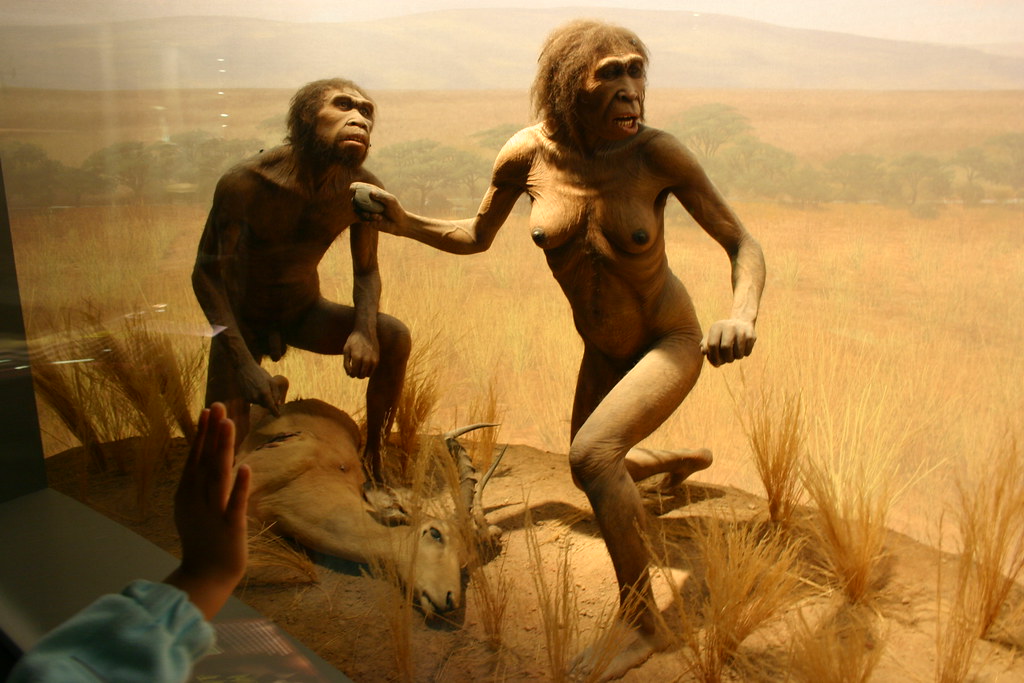Homo egaster