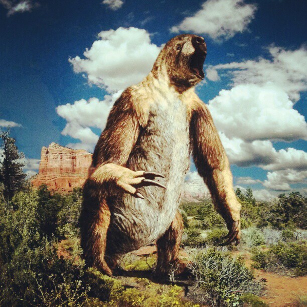 Giant Sloth