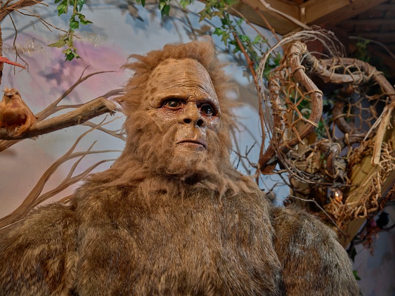Bigfoot depiction