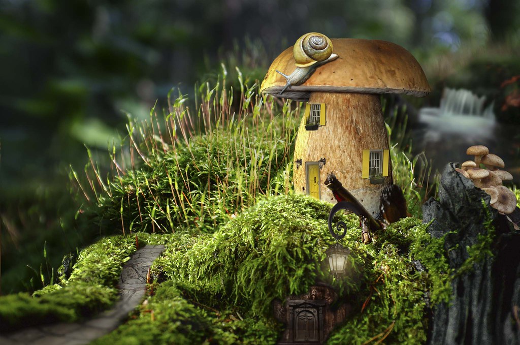Fairy House