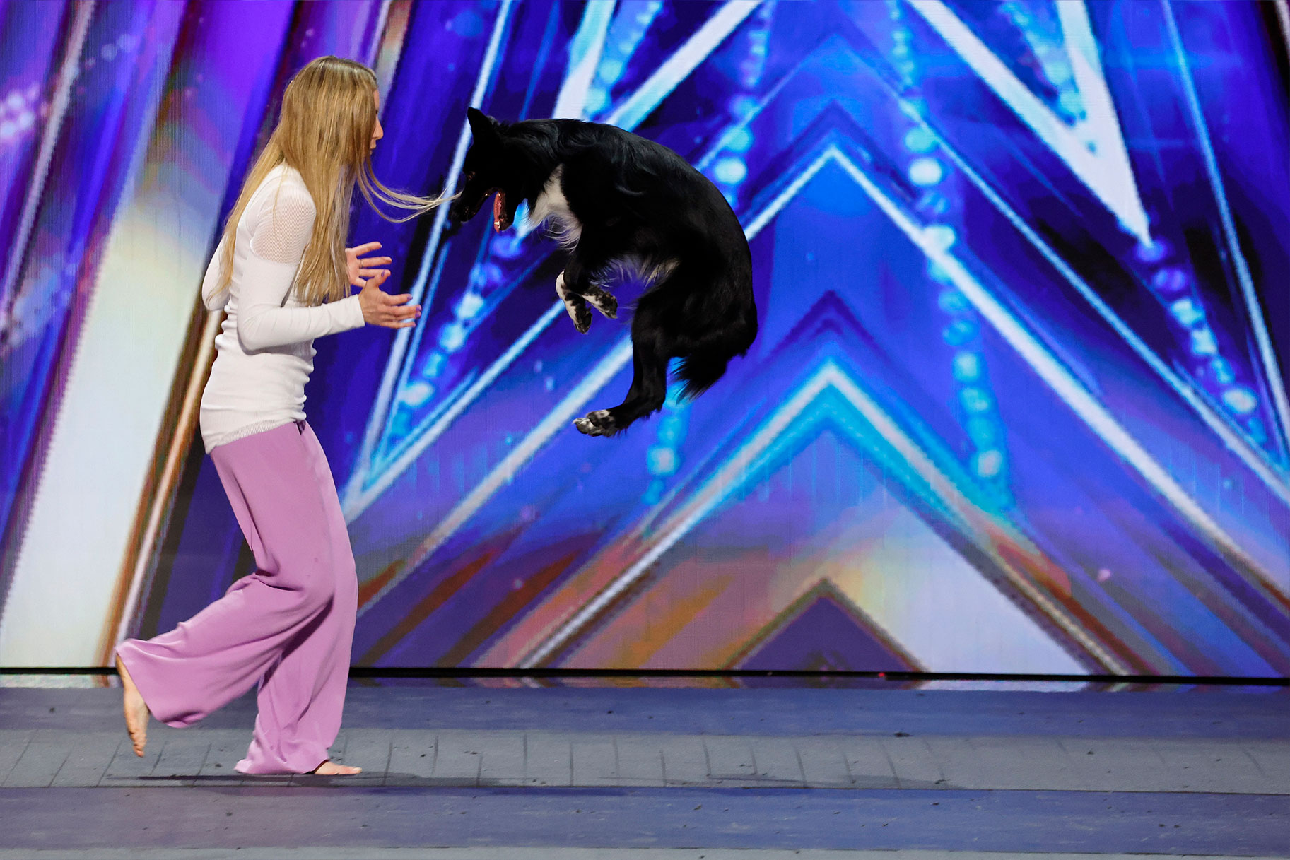 Dancing Dog