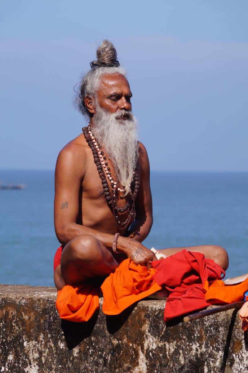 Yogi