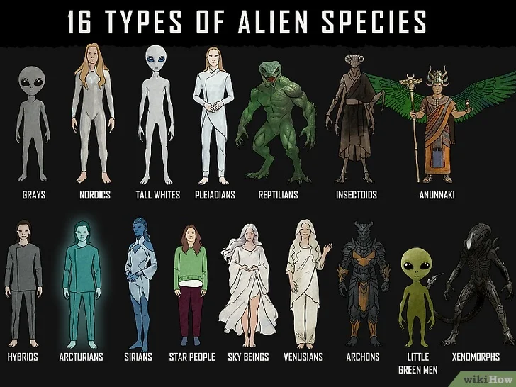16 types of ETs