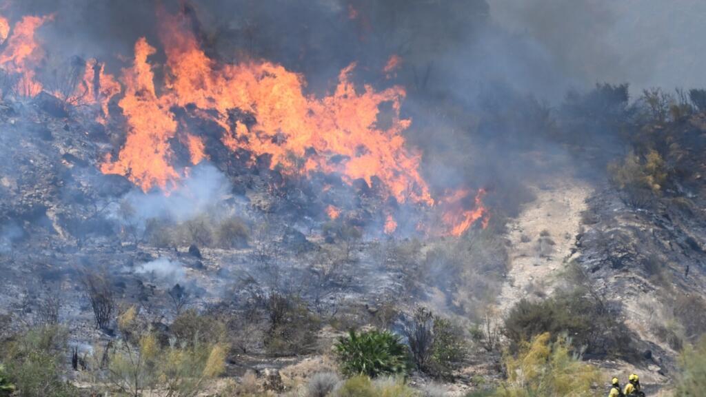 Wildfire in Europe