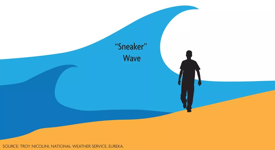 sneaker wave